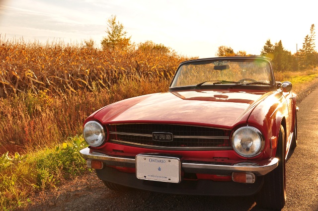 Triumph TR6